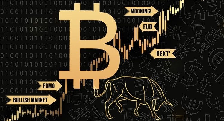 Cryptocurrency Trading Course Free - 2021 Cryptocurrency Mastery The Complete Crypto Trading Course Udemy Free Download / You may also be looking for the right platform that offers cryptocurrency trading courses for beginners.